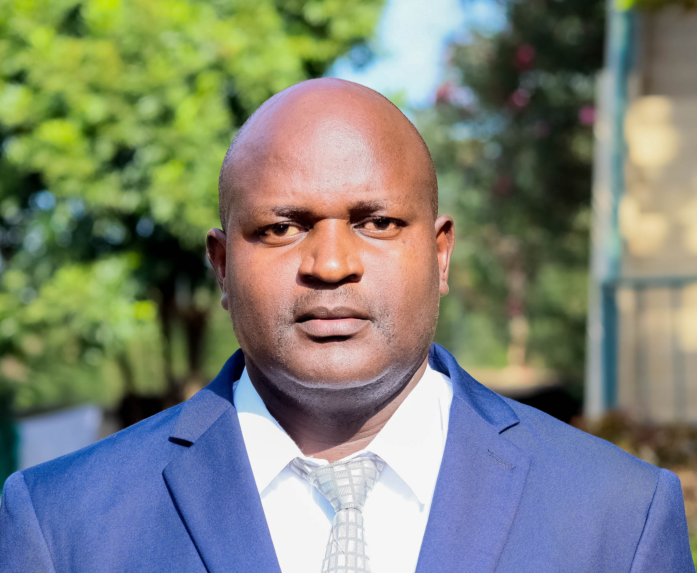 Brown Kadenge